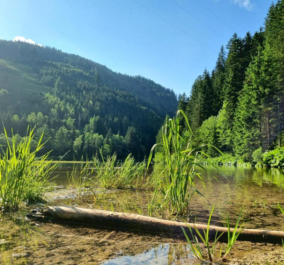 Das Geringer Schladming Εξωτερικό φωτογραφία